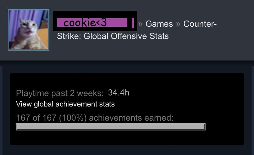 100% Achievements in CS:GO